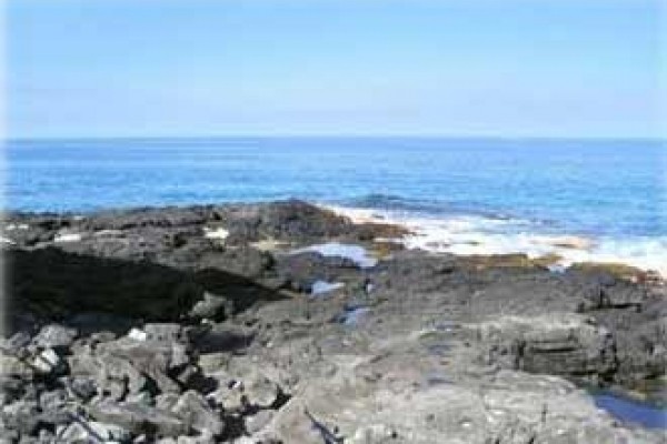 [Image: Oceanfront Building with Views from the Lanai]