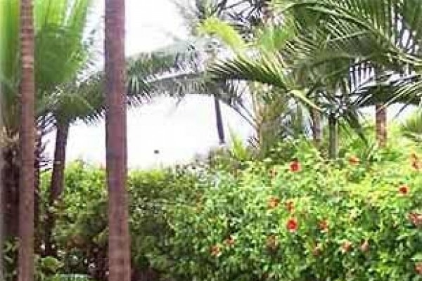 [Image: Oceanfront Building with Views from the Lanai]