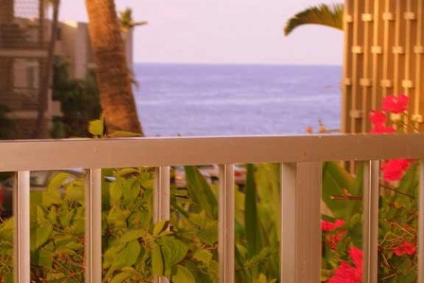 [Image: Special Price! $99.00! Absolutely the Best Oceanfront Resort in Kona Hawaii]