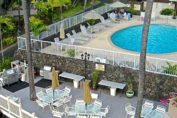 [Image: Special Price! $99.00! Absolutely the Best Oceanfront Resort in Kona Hawaii]