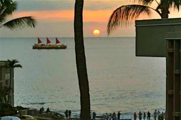 [Image: Special Price! $99.00! Absolutely the Best Oceanfront Resort in Kona Hawaii]