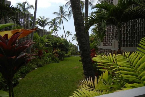 [Image: Alii Villas 207 1b/R Kona Condo/Online Booking Discount]