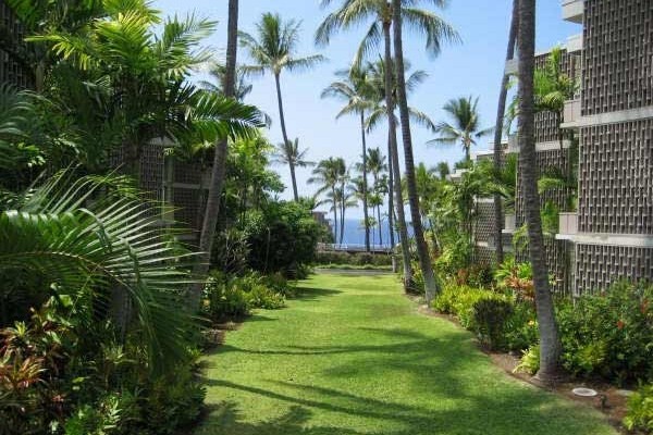 [Image: Alii Villas (Tropical Paradise) Condo]