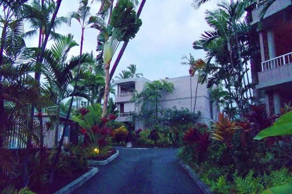 [Image: Oceanview Overlooking Pool Top Floor End Condo with Wifi]