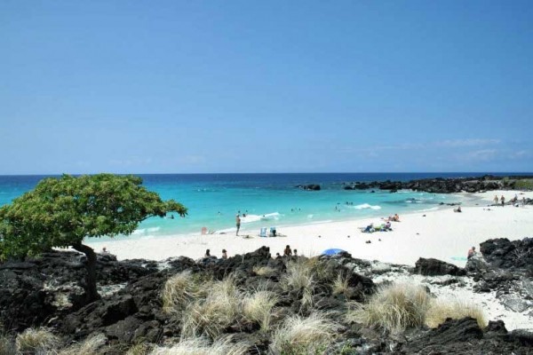 [Image: Ahhhh Paradise the Beach Villas @ Kahalu'U Best Snorkling Beach Plus Surfing]