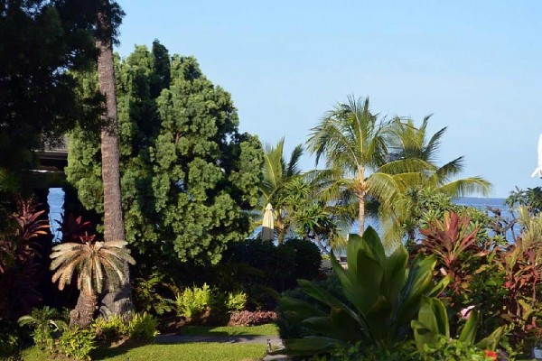 [Image: Casa De Emdeko 129 Newly Remodeled, the Best Vacation Experience in Kona Hawaii!]