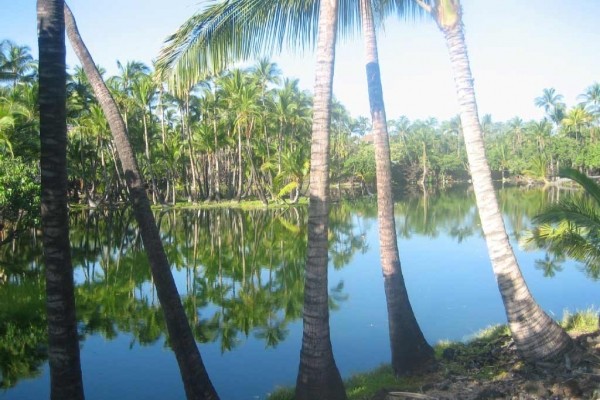 [Image: Magnificent Mauna Lani Fairways 3 Bedroom 2-1/2]