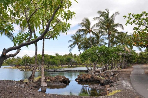 [Image: Private Beach, Lagoon Pool, Wifi, Built in Bbq on Lanai, Resort Living]