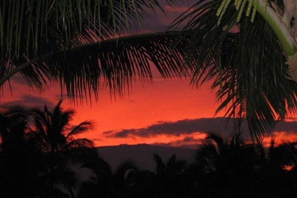 [Image: Hawaiian Paradise - Rates Starting at Only $150 Per Night]