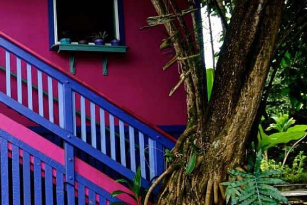 [Image: The Perfect Stay in the Heart of Old Hilo Town]