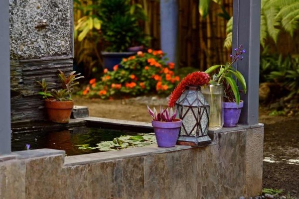 [Image: The Perfect Stay in the Heart of Old Hilo Town]