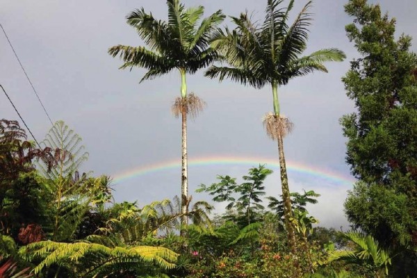 [Image: Rain Forest Hideaway, Enjoy the Country of Hilo]