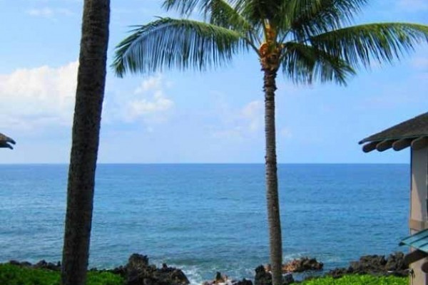 [Image: Kona Oceanfront Paradise Â»Â»As Low as $129/Night!Â«Â«]