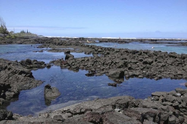 [Image: Beautiful Home - Walking Distance to the Wai 'Opae Tide Pools]