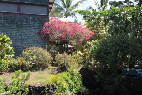[Image: Warm Springs Guest House at Wai' Opae Marine Sanctuary.]