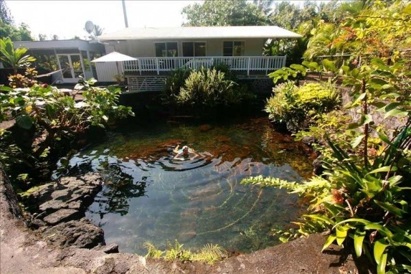 [Image: Natural Lava Heated Pool - Steps to Snorkeling - Punana Kiowai]