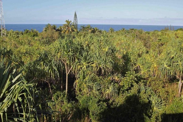 [Image: Ocean View Country House]