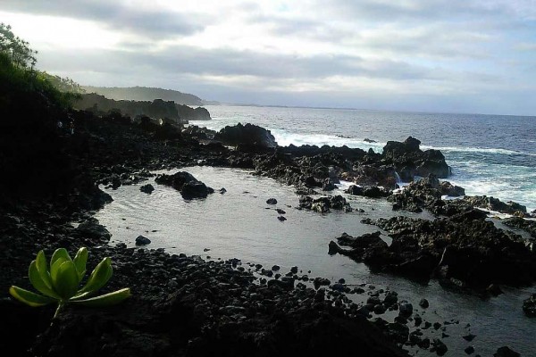 [Image: Ocean View Country House]