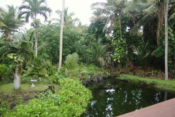 [Image: Oceanview,Pingpong,Darts,Bbq. Deck Overlooks Private Pond.Wai O'Pae is 5min Walk]