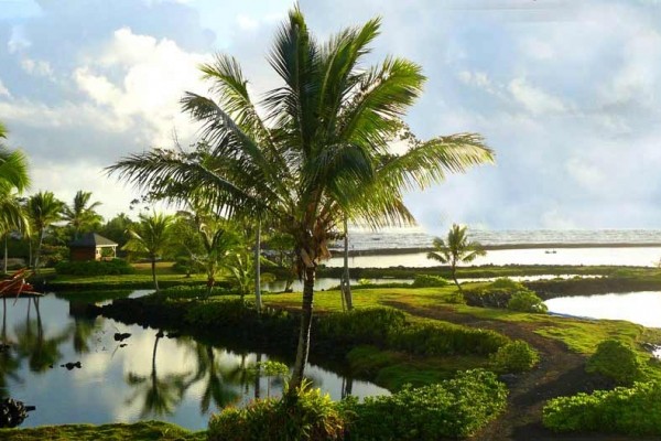 [Image: 17 Acre Oceanfront Estate in Kapoho]