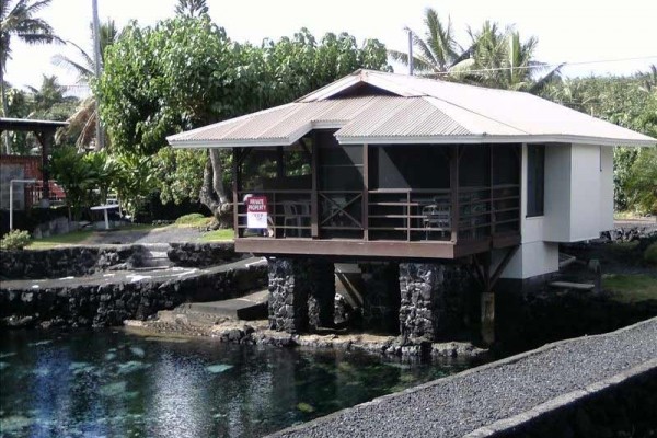 [Image: Specials at Laimana Cottage- Right on Champagne Pond!]