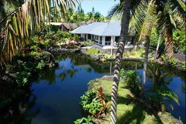 [Image: Gorgeous White Orchid Tidepool Retreat Close to Ocean]