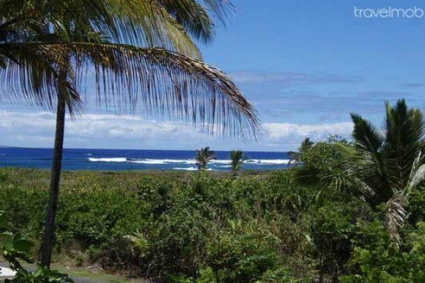 [Image: Ocean View Pualani Tropical Home]