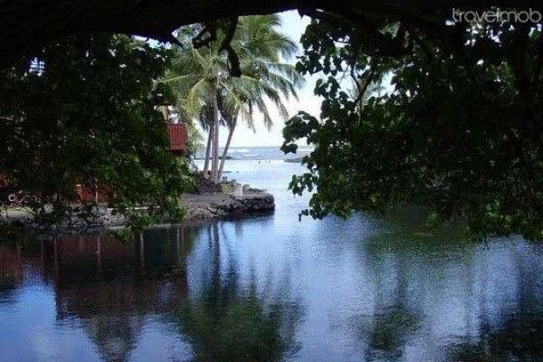 [Image: Ocean View Pualani Tropical Home]