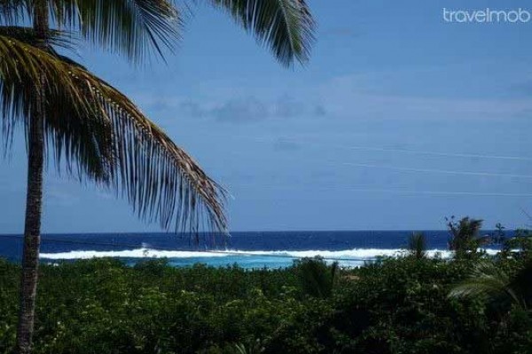 [Image: Ocean View Pualani Tropical Home]