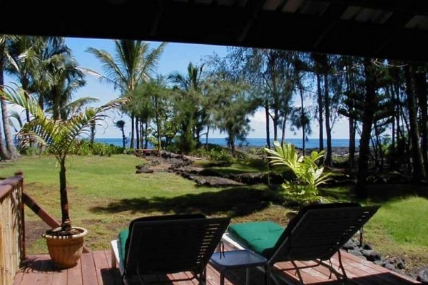 [Image: Great Value Oceanfront Bungalow!]