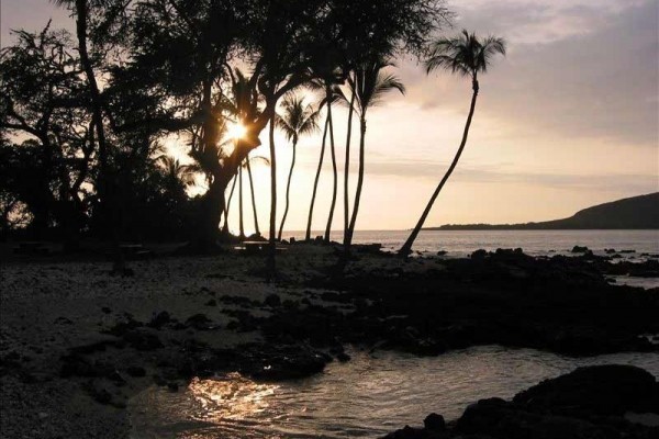 [Image: Ahhhh the Aloha Escape Here's the Perfect Getaway]