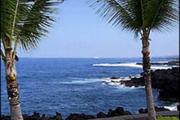 [Image: Keauhou Kona Surf &amp; Racquet 4204 2 B/R Oceanfront Kona Hawaii]