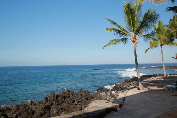 [Image: Keauhou Kona Surf &amp; Racquet 183 2 B/R Oceanfront in Kona Hawaii]