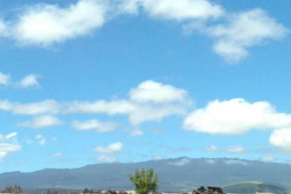 [Image: Oceanview Townhome Located in the Scenic Keauhou Area]