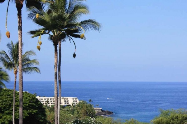 [Image: Lovely End Unit Condo in Lushly Landscaped Keauhou Resort.]