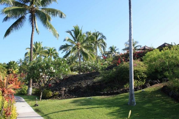 [Image: Lovely End Unit Condo in Lushly Landscaped Keauhou Resort.]