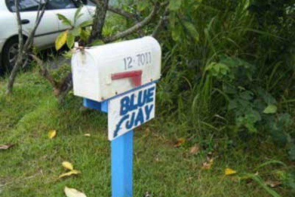 [Image: Affordable Beautiful Blue Jay Cottage Near Black Sand Beach]