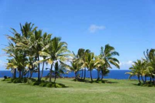 [Image: Affordable Beautiful Blue Jay Cottage Near Black Sand Beach]