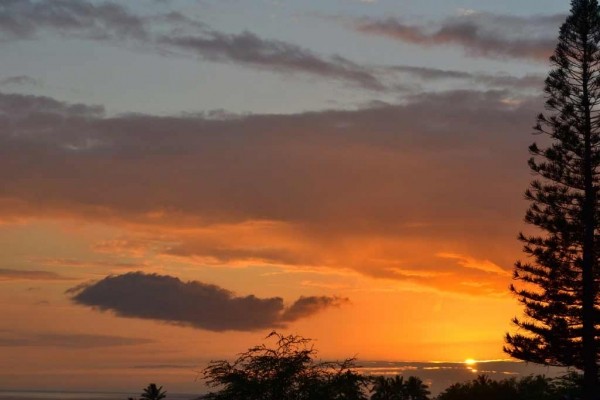 [Image: Kohala Cottage, 180Â° Ocean View!]