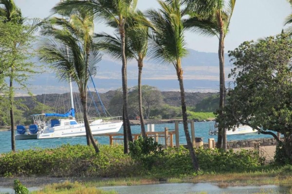 [Image: Aloha... Ready to Relax]