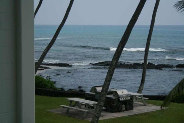 [Image: Kona Bali Kai 223 - Popular Oceanfront Complex]