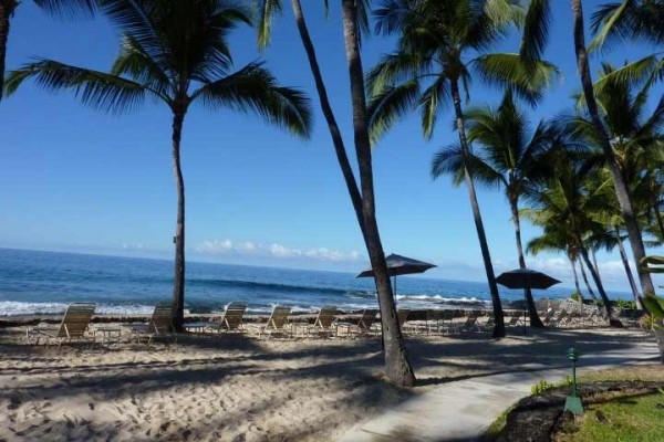 [Image: Absolutely Oceanfront Luxury Condo Resort on Sandy Beach/Reef.]