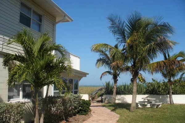 [Image: Direct Oceanfront Condo on Cocoa Beach]