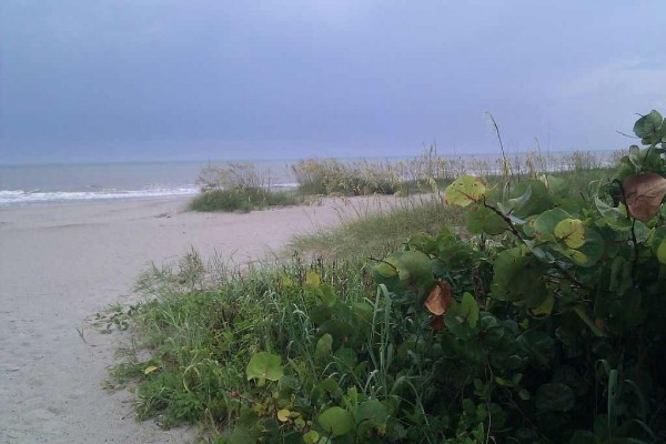 [Image: Spacious, Tropical Condo Across the Street from the Beach!]