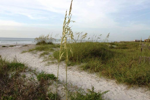 [Image: Newly Renovated Modern Beachside 2/2 Gated Community Ocean Woods Florida]