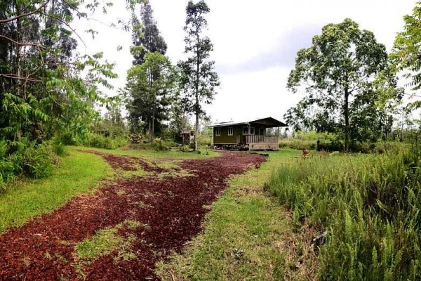 [Image: Cozy Jungle Home Convenient to Hilo]
