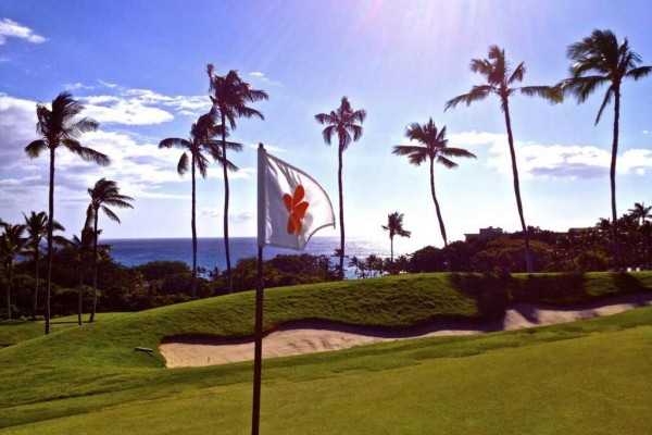 [Image: Harbor, Maui, Golf and Coastline Views- Absolutely the Best in Complex!!]