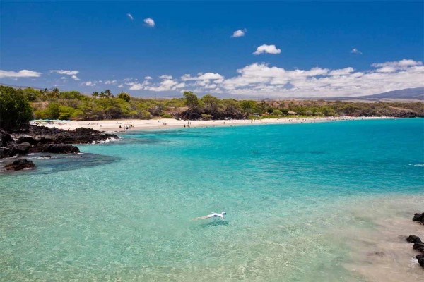 [Image: Oceania at Mauna Kea Resort - Luxury 10 Bedroom Estate!]