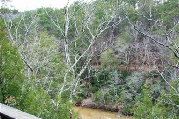 [Image: On a Bluff Overlooking Clear Creek, Sipsey Wilderness, Trails!]