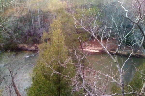 [Image: On a Bluff Overlooking Clear Creek, Sipsey Wilderness, Trails!]